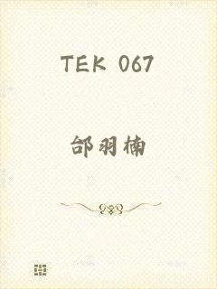 TEK 067